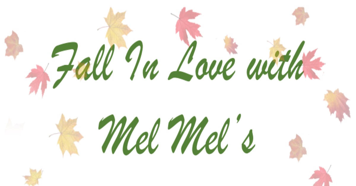 Read more about the article Mel Mel’s T-Shirt Shop celebrates 10 year anniversary