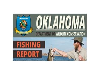 Read more about the article Oklahoma Fishing Report