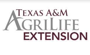 Read more about the article AgriLife Extension Offers “A Matter of Balance” Class for Adults