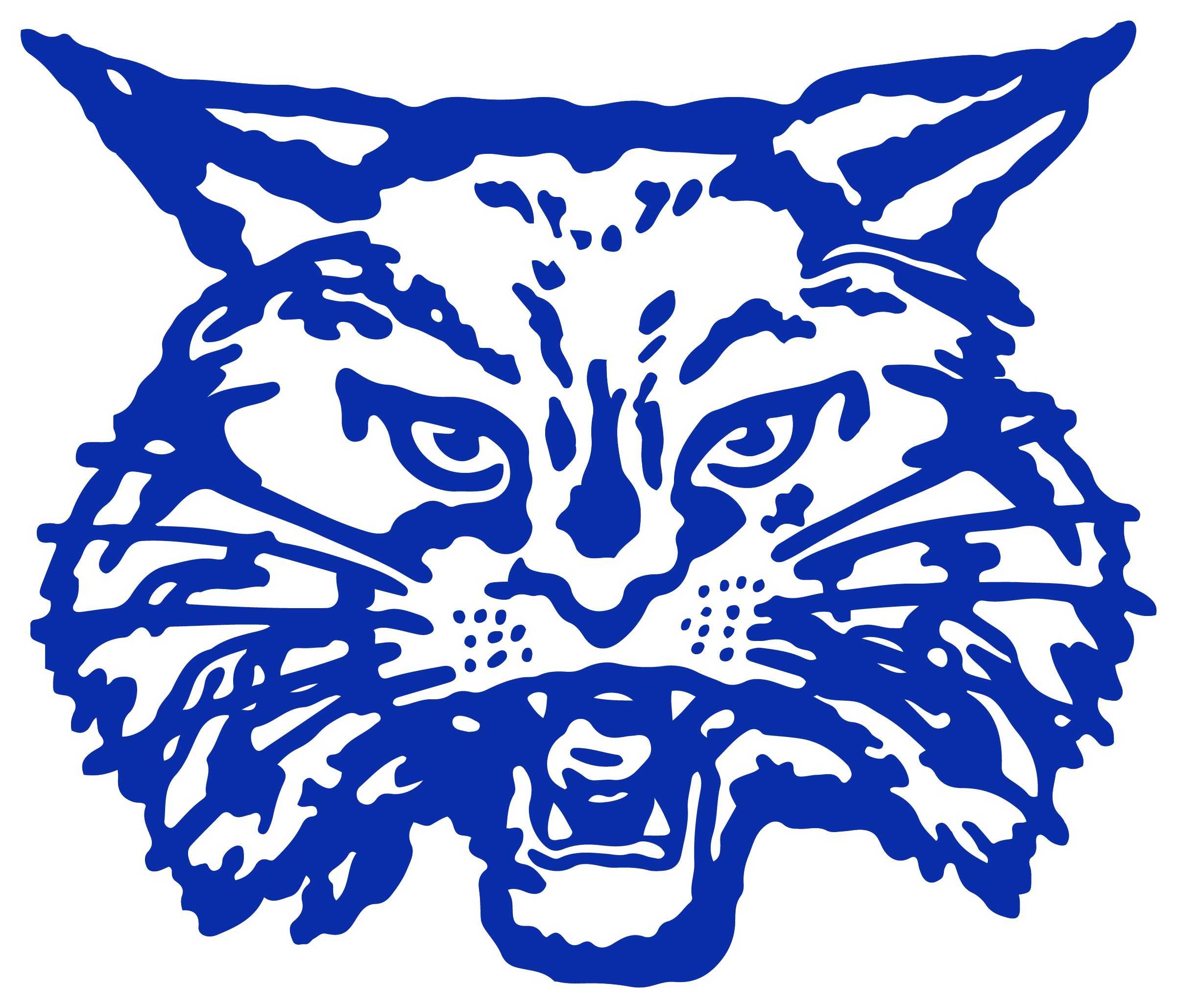 Read more about the article Childress Bobcats to take on Seymour Panthers in Thursday’s tournament