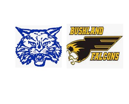 Read more about the article Information given for those attending Friday’s Varsity football game between Childress and Bushland