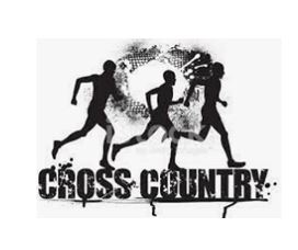 Read more about the article Quanah Cross Country competing at District Meet today in Shamrock