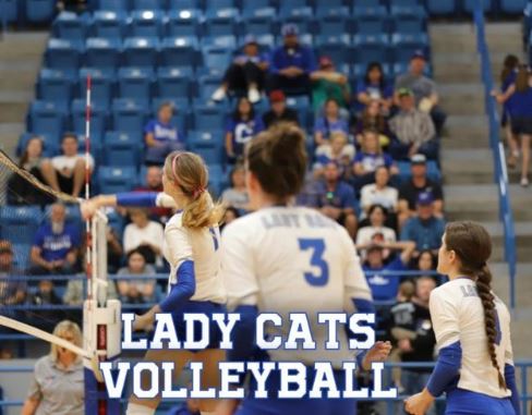 Read more about the article Lady Cats Volleyball Send Off Tuesday