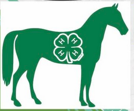 Read more about the article Childress 4-H Horse Club hosting Fun Free Ride Jan. 29